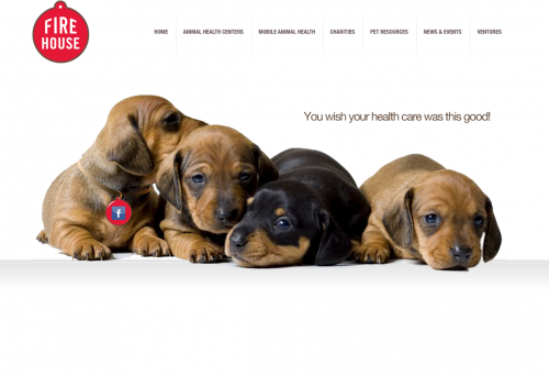 Firehouse Animal Health Center | Web Design