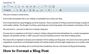 WordPress Blog Formatting