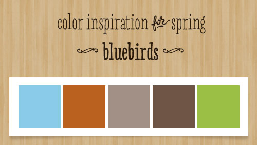 Bluebird Spring Color Inspiration
