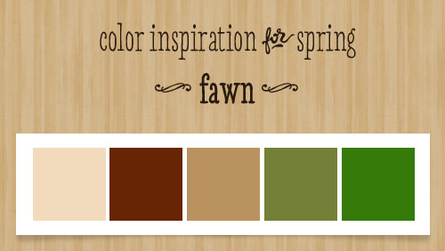 Fawn - Color Inspiration