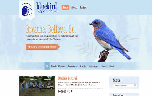 Bluebird Eau Claire Website Design